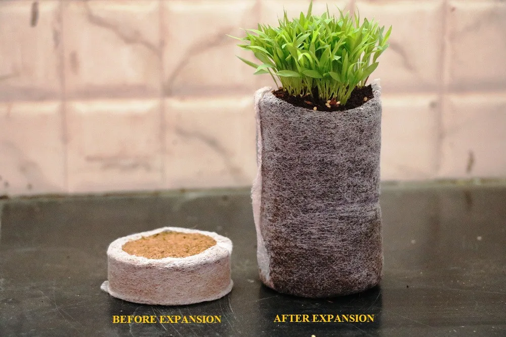 Coir Peat Organic Jiffy Plugs Exports / Coco Peat Pellet / Coco Discs