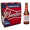 /product-detail/budweiser-beer-62000105738.html