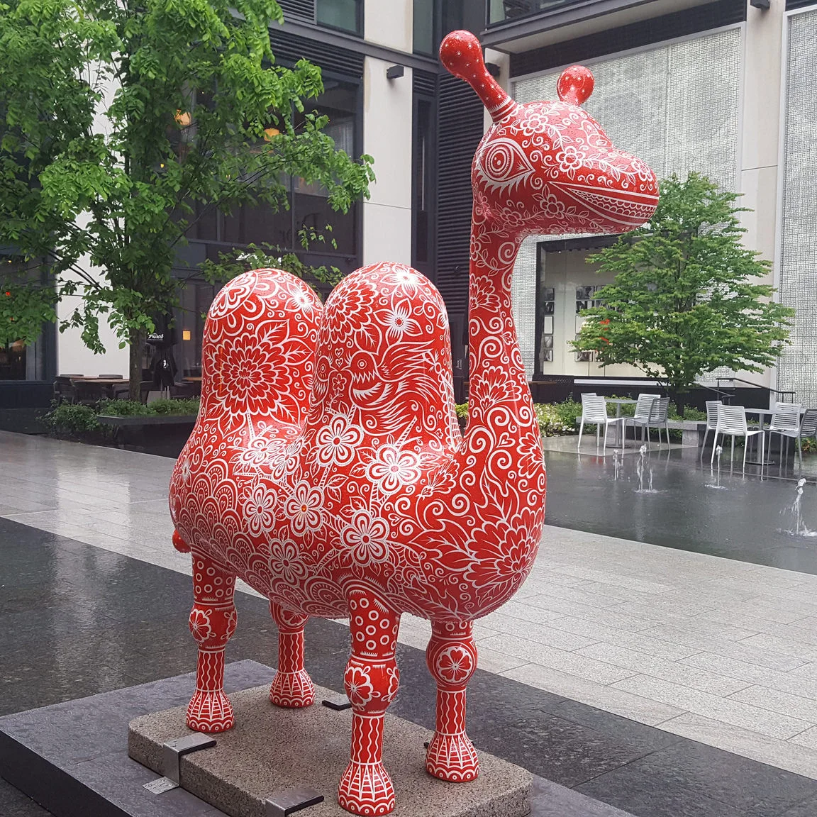 camel (2).jpg