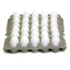 /product-detail/farm-fresh-chicken-table-eggs-brown-and-white-shell-chicken-eggs-for-sale-50045961569.html