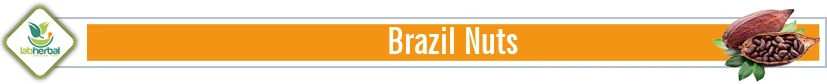 Brazil Nuts T.jpg