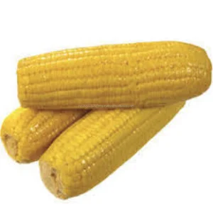 yellow waxy corn frozen