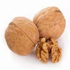 Asian walnuts whole without shell