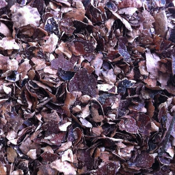 CASHEW HUSK ( TESTA SKIN) FOR ANIMAL FEED