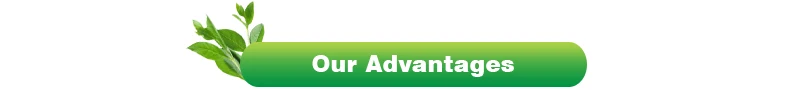 Advantages-t.jpg