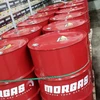 /product-detail/morgas-synthetic-blend-5w20-motor-oil-166313022.html
