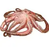/product-detail/big-size-frozen-flower-cooked-octopus-62007756817.html