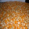 /product-detail/yellow-corn-and-soybeans-meal-for-animal-feed-50045484143.html