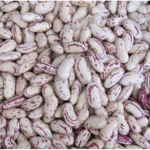 Kidney Beans, Light Speckled Kidney Beans Red Beans