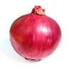 /product-detail/buy-fresh-onion-egyptian-farm-fresh-onion-organic-in-egypt-50038916420.html
