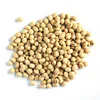 Certified Premium Quality Organic Soybean / Soya bean / Soybeans Seeds From Thailand