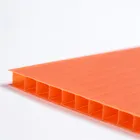 UV Coated Two Layers Twin Wall Orange PC Hollow Profile Sheet for Shelter