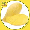 /product-detail/premium-fresh-mango-nam-dok-mai-variety-golden-honey-nothern-thailand-50003549055.html