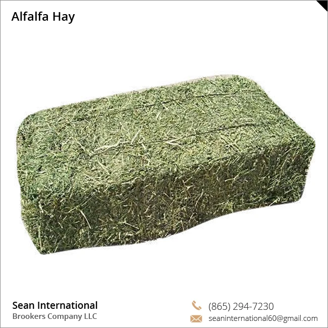 Alfalfa-Hayimg.jpg