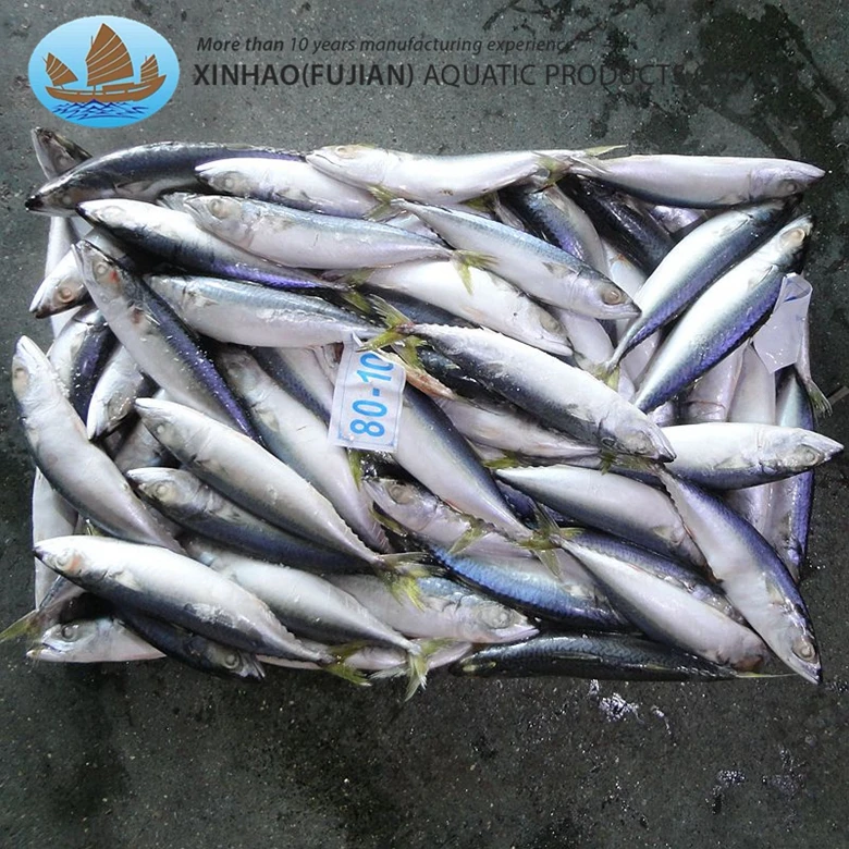 Top grade china export pacific mackerel whole round frozen