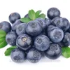 Wholesale IQF Frozen Blueberry...