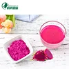 /product-detail/organic-freeze-dried-red-dragon-fruit-powder-without-additives-50044674649.html