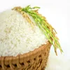 /product-detail/white-rice-10-broken-62006748870.html