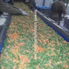 Egyptian Frozen Mixed Vegetables Supplier