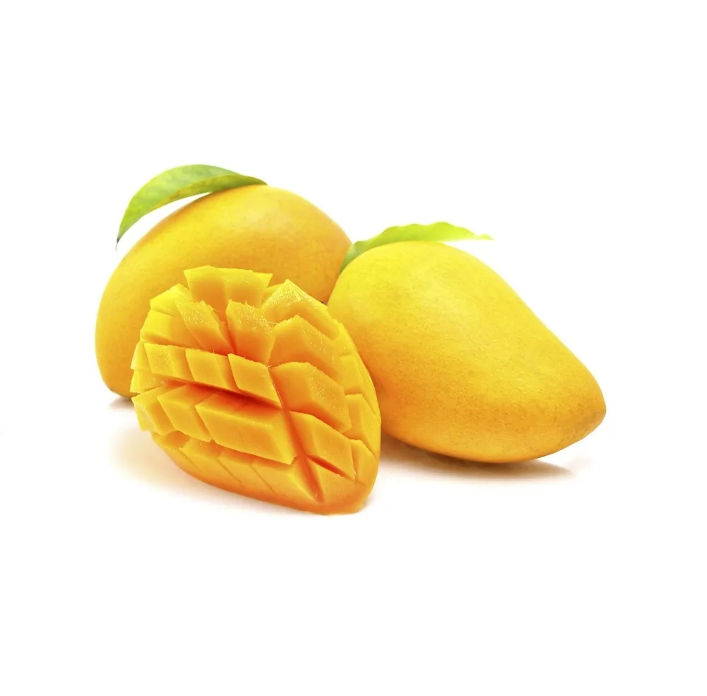 juicy fresh vietnamese mango best price