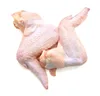 Premium Grade Brazilian Halal Frozen Chicken 3 joint wings
