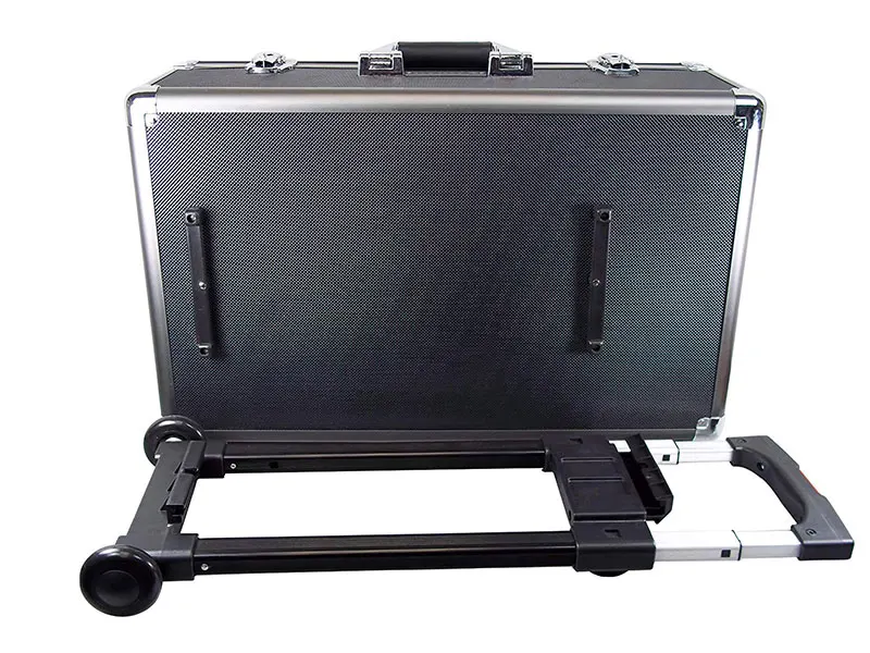 large rolling case