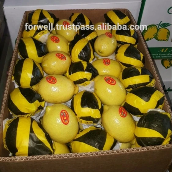 Fresh yellow lemon 48-60-75/9kg carton