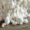 /product-detail/raw-cotton-fiber-for-sale-62000741804.html