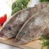 /product-detail/frozen-grouper-fish-hamour-fish-62008205691.html