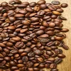 /product-detail/vietnam-raw-weasel-civet-kopi-luwak-coffee-beans-green-best-quality-new-crop-50046824021.html