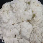 Mulberry Silk Noil Waste Bleached Noil Silk Waste