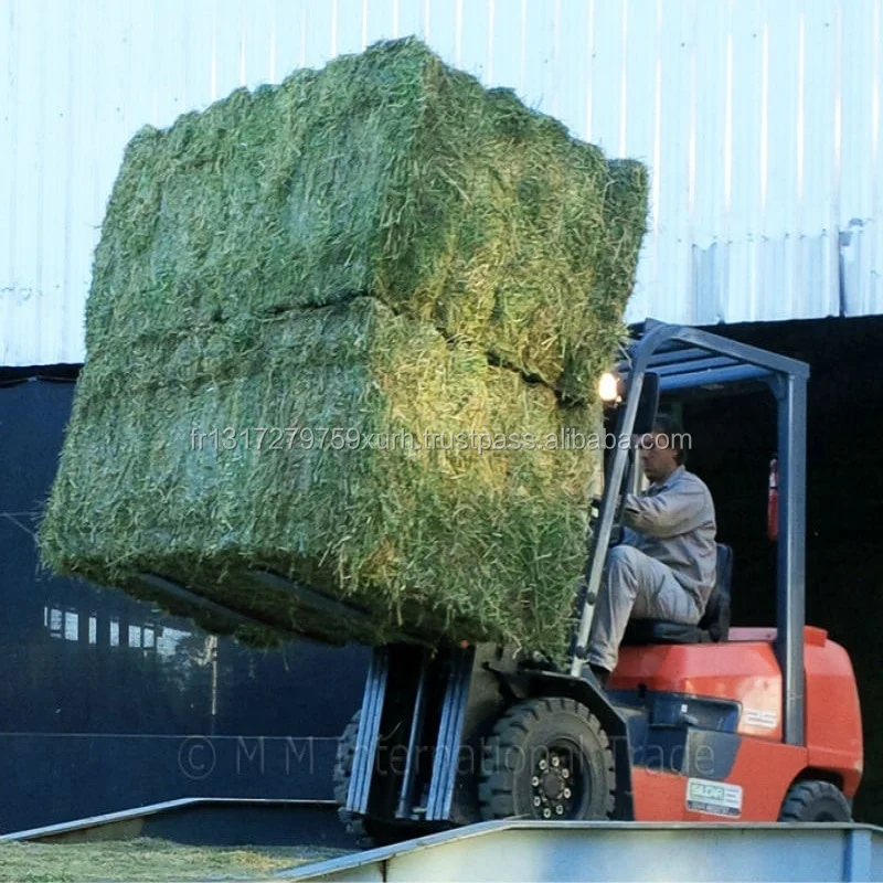 alfalfa hay for sale***.super top quality alfafa