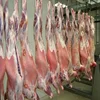 /product-detail/new-zealand-frozen-halal-lamb-mutton-meat-62006120016.html