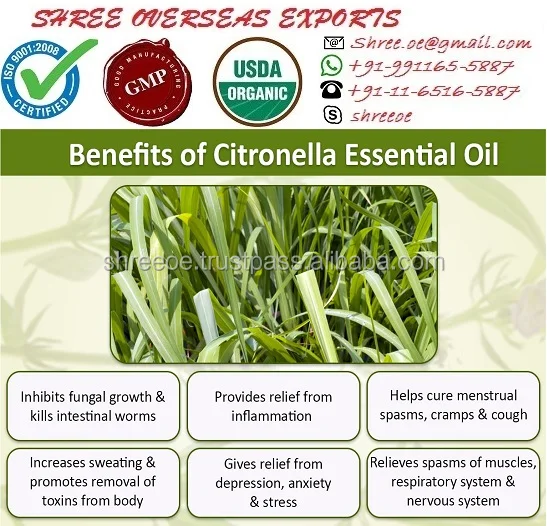 best quality 100% pure citronella oil from shree overseas