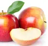 Premium Selected Fresh Apples