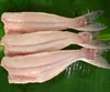 Pangasius fillet Well-trimmed