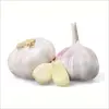 /product-detail/best-selling-2019-fesh-red-garlic-62008856492.html