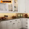 DIY Ideas for the Kitchen Cabinet Door in kitchen furniture