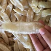 BEST SELLER : DRIED CATFISH MAW - BUTTERFLY TYPE ALL KINDS