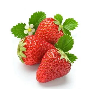 strawberry in agriculture