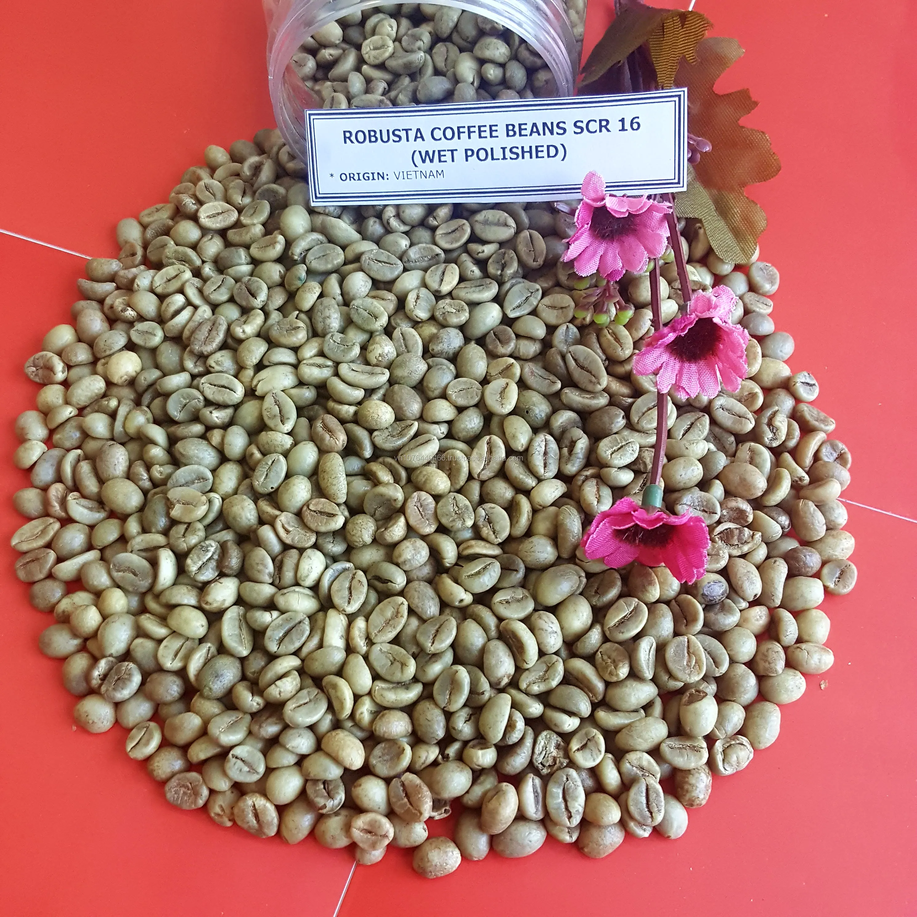 ROBUSTA SCR16 WP.jpg