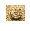 Soybean/Soya Bean, Soybean Seeds, Soya Bean Seeds( New Crop)