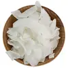 /product-detail/flaffe-crunchy-coconut-chips-dried-coconut-slice-dried-coconut-50041408862.html