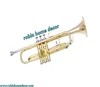 AAA QUALITY SOUND! BRASS Bb FLAT TRUMPET WITH FREE HARD CASE+MOUTHPIECE