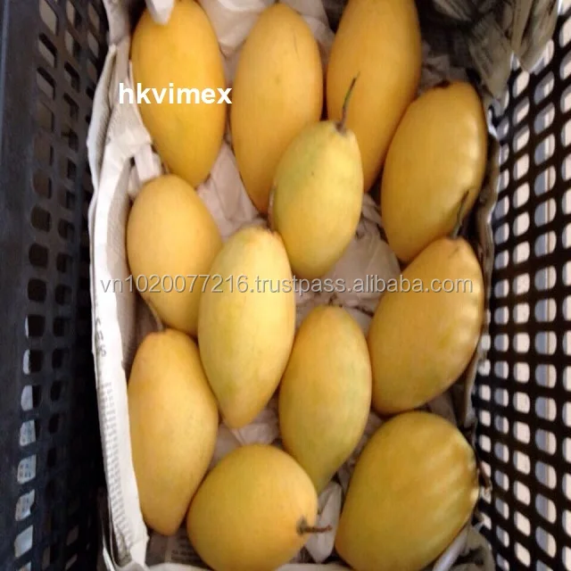 mango fruit photo