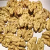 /product-detail/premium-selected-top-quality-walnuts-62008251216.html