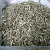 VIET NAM DRIED ANCHOVY / DRIED FISH/ SEAFOOD (WHATSAPP +84 3 76540581)