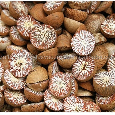 betel nut / areca nut