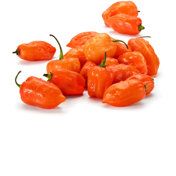 fresh habanero peppers / fresh red chilli pepper