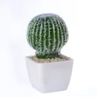 China factory Pu+Plastic handicraft art mini artificial cactus plants
